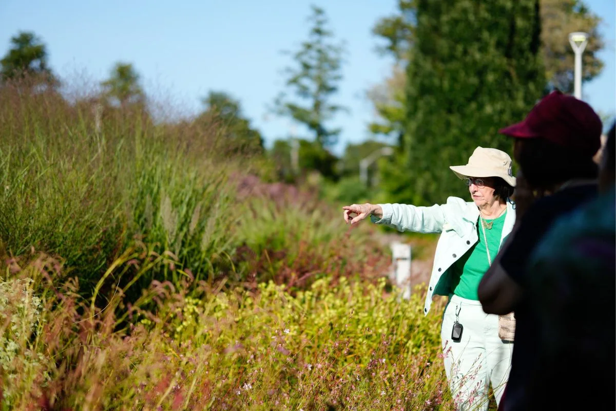 A guided visit through Toronto Botanical Garden