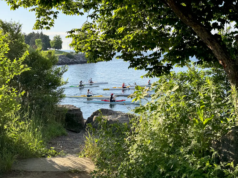 Illustrative activity, not a photo of Toronto Island SUP